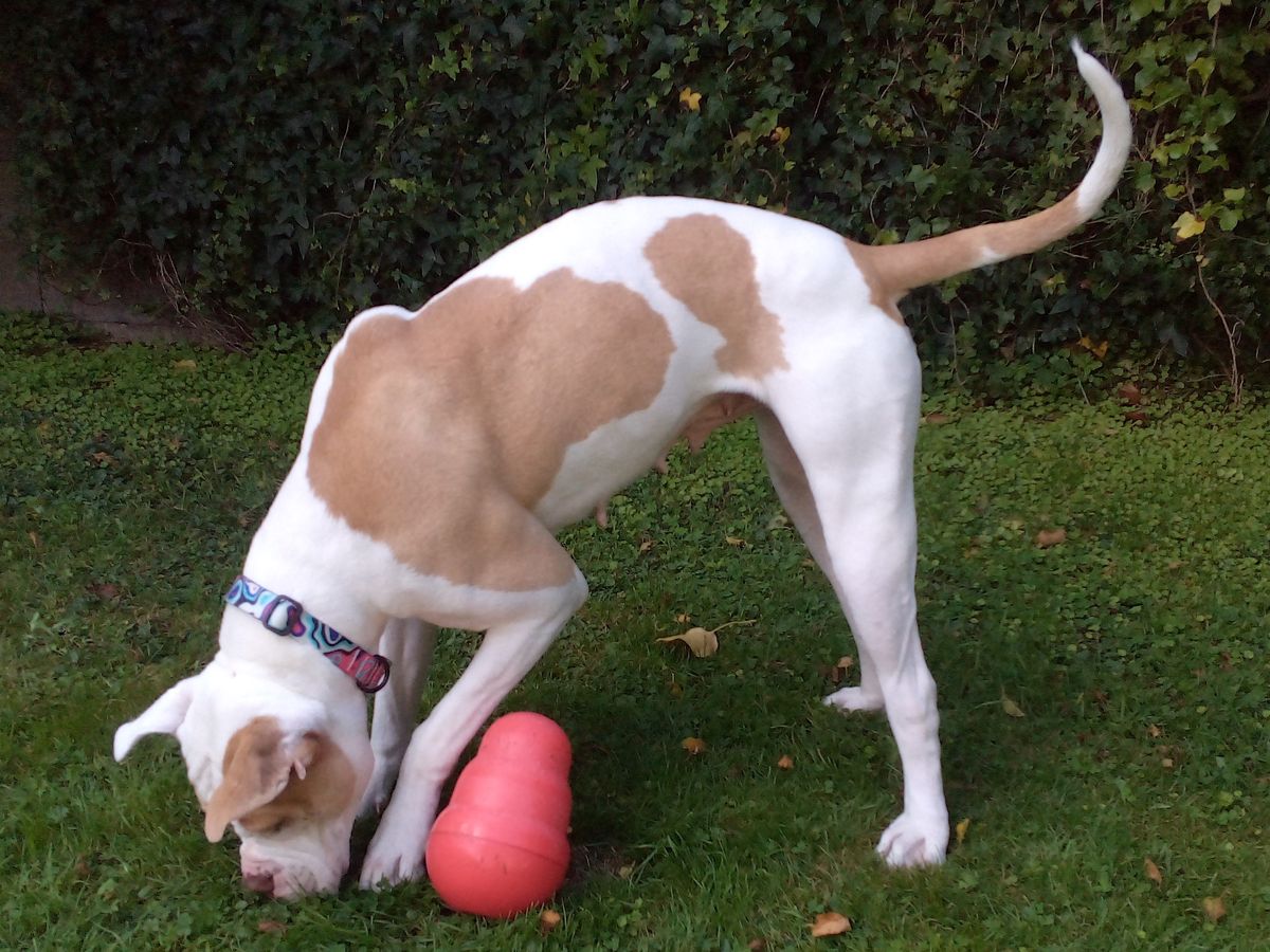 Gallery image: Maggie