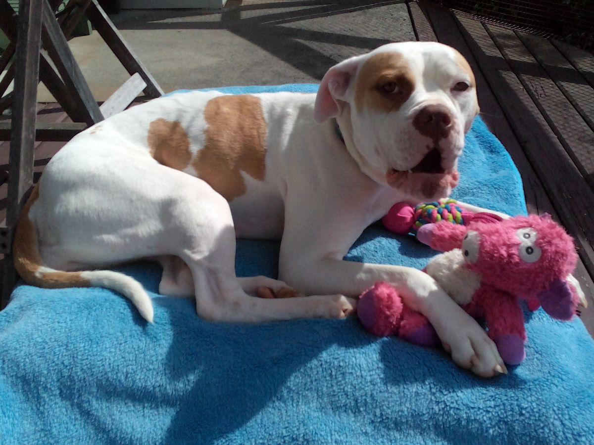 Gallery image: Maggie