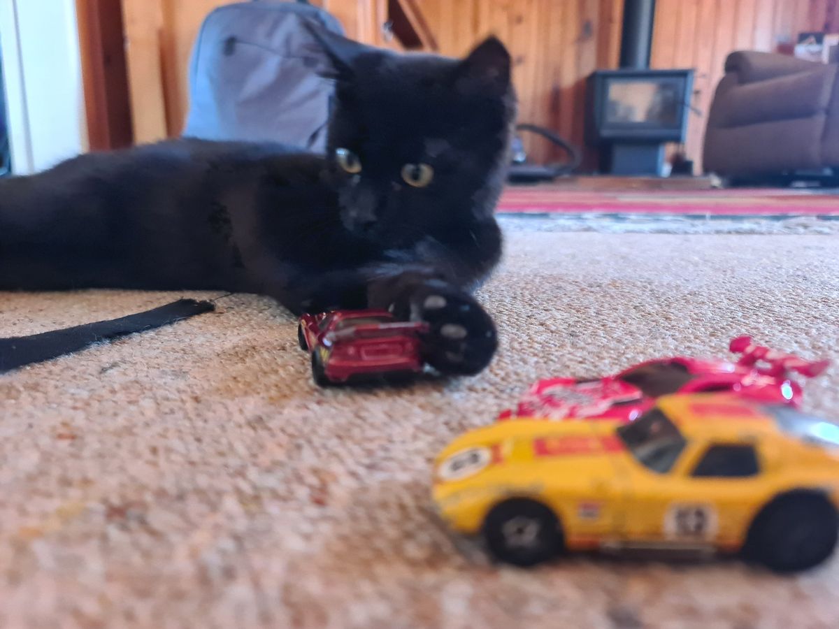 Gallery image: Cuddle Puddle