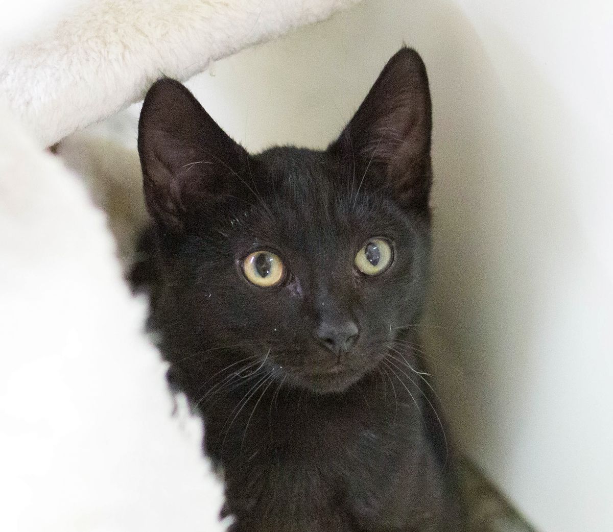 Gallery image: Tallie