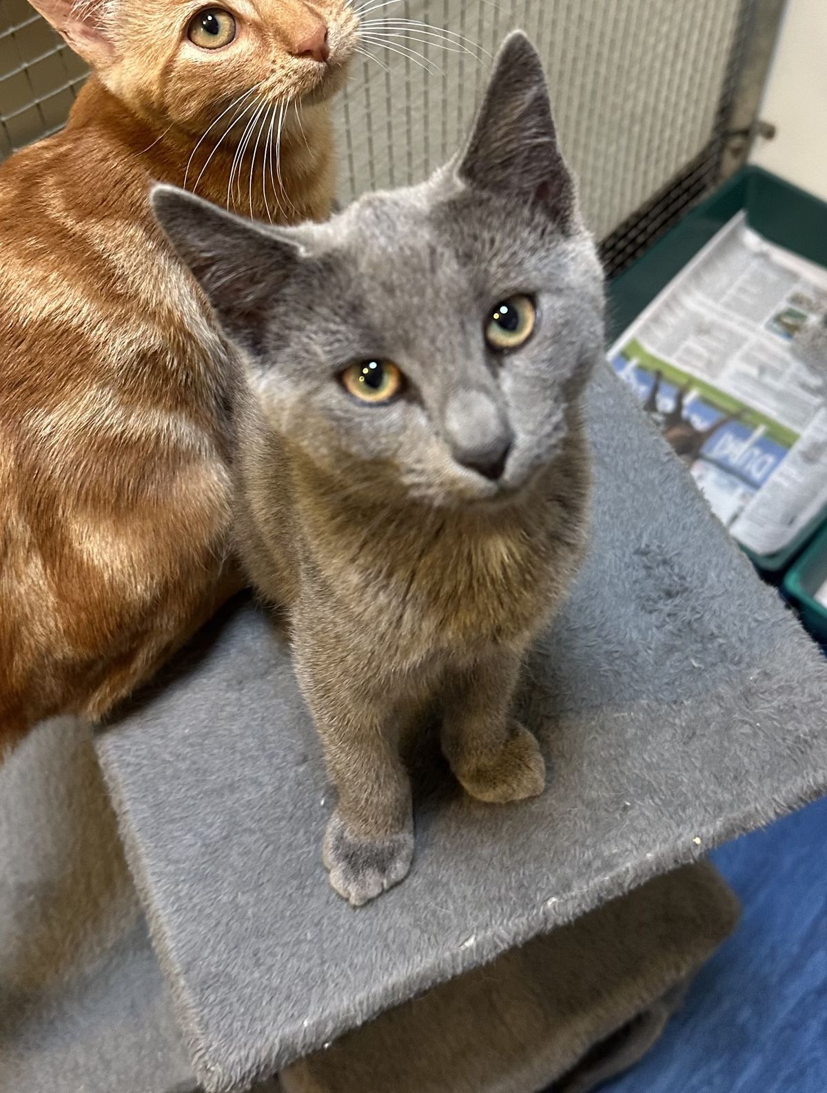 Gallery image: Grommet