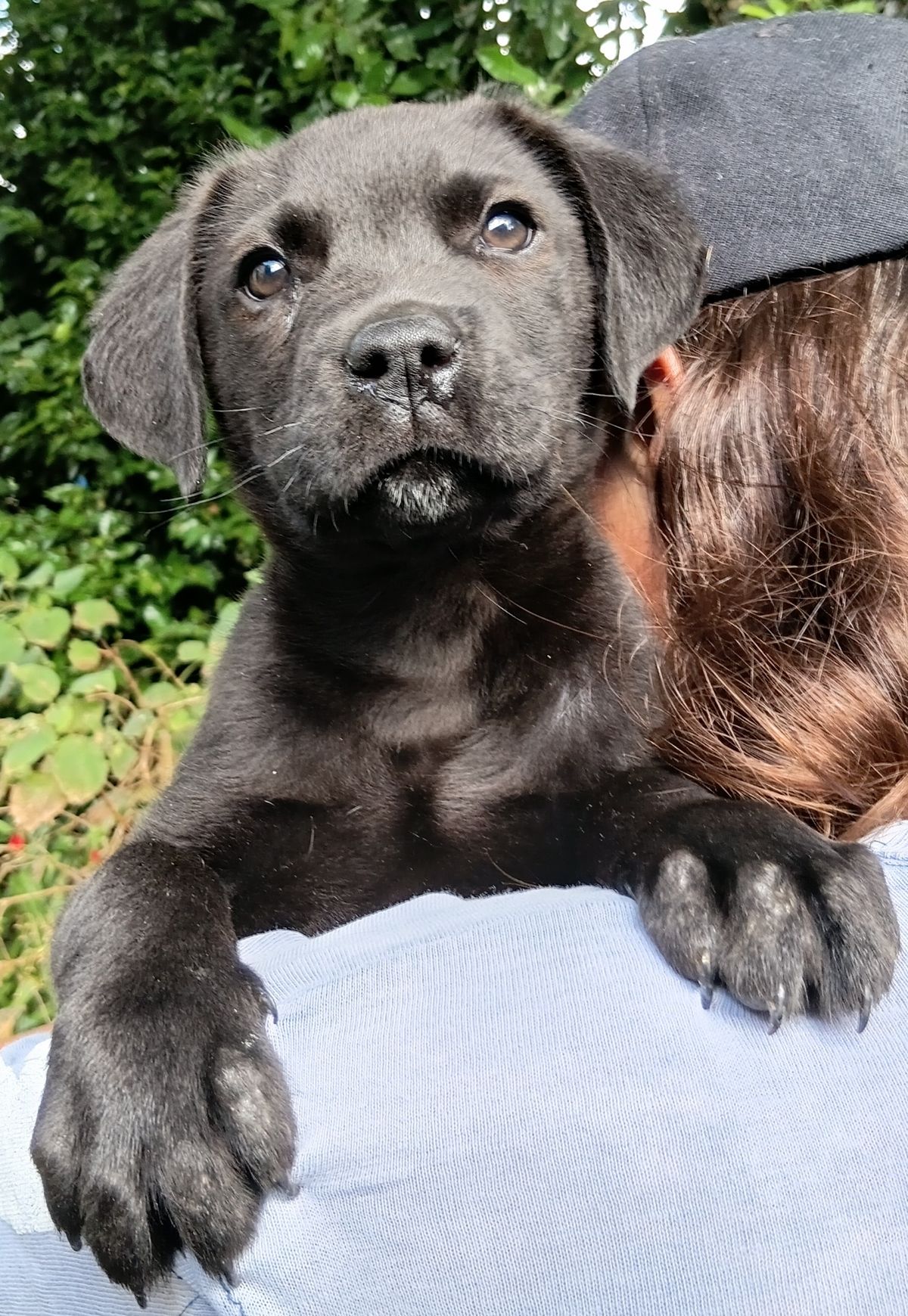 Gallery image: Chase