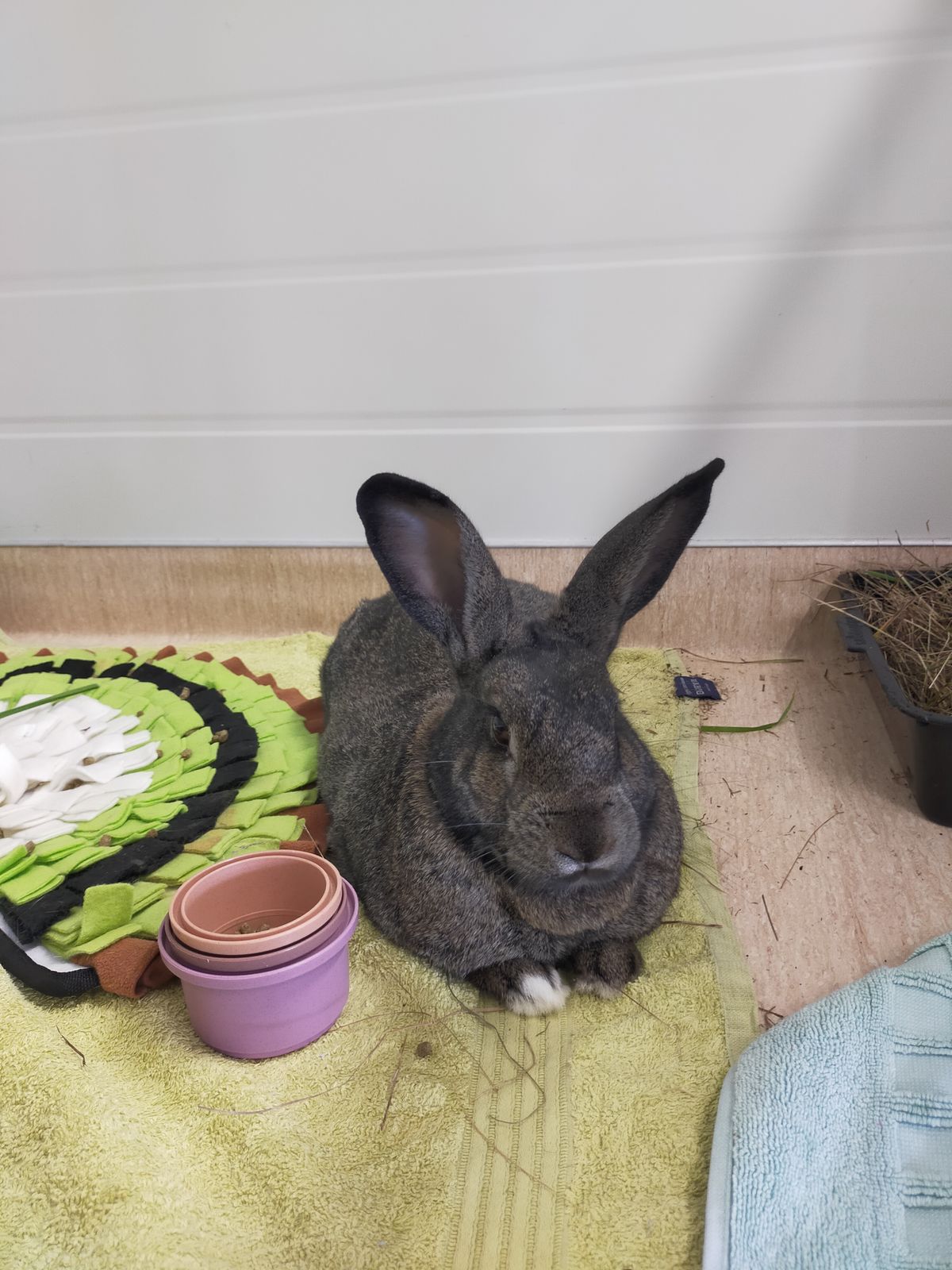 Gallery image: Benjamin