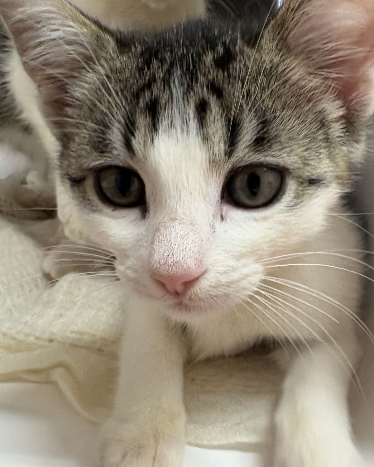 Gallery image: Sonny