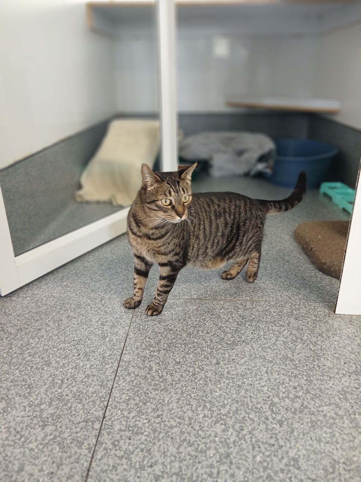 Gallery image: Clyde