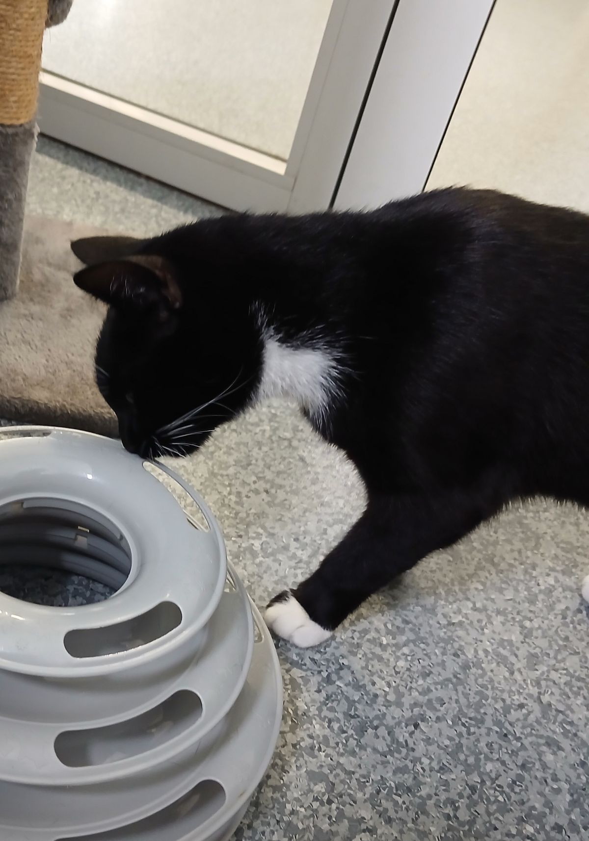 Gallery image: Maisy