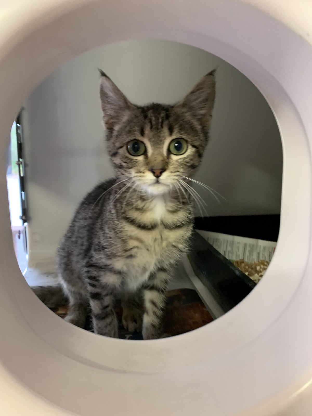 Gallery image: Raggs