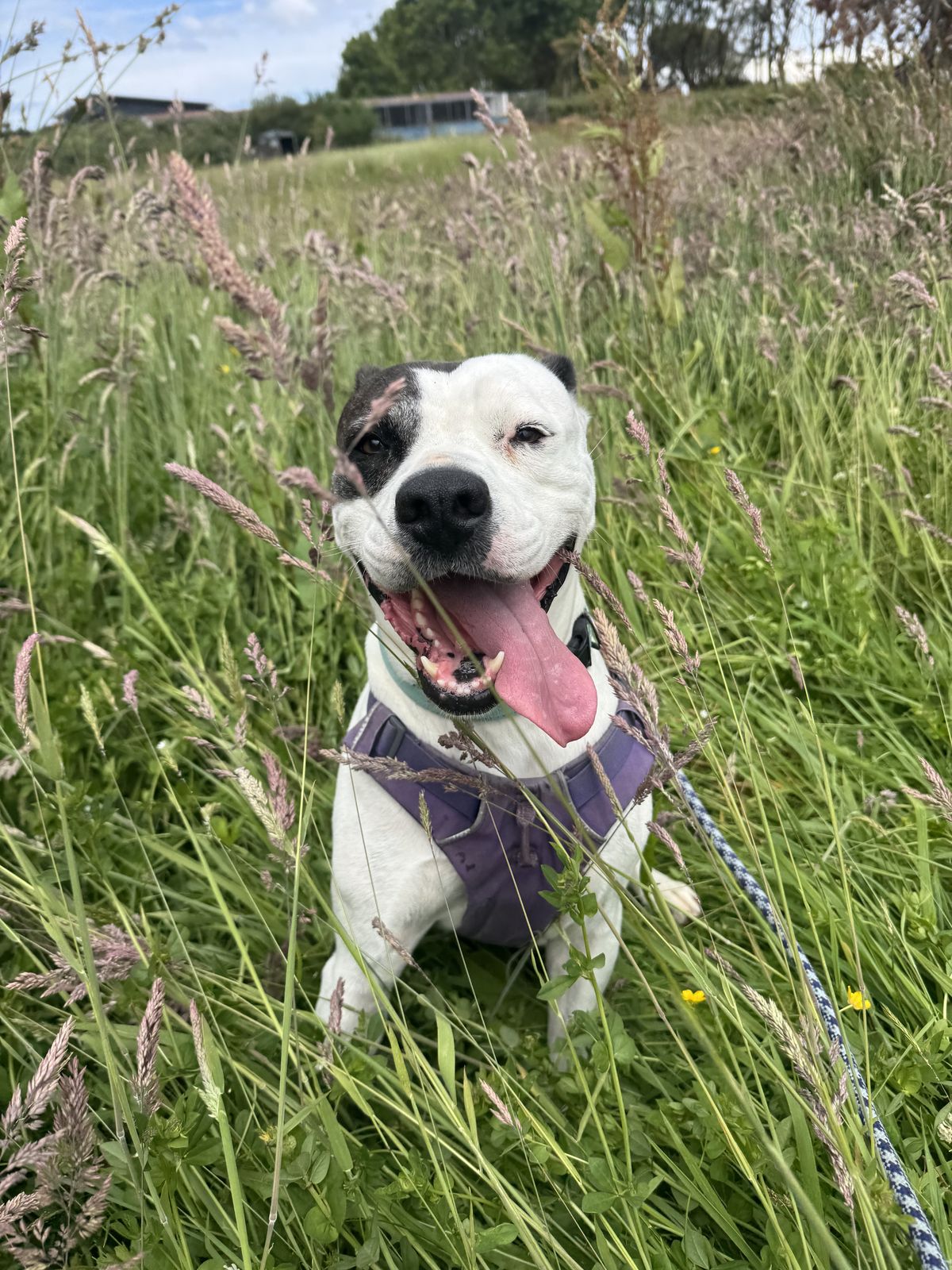 Gallery image: Haiden