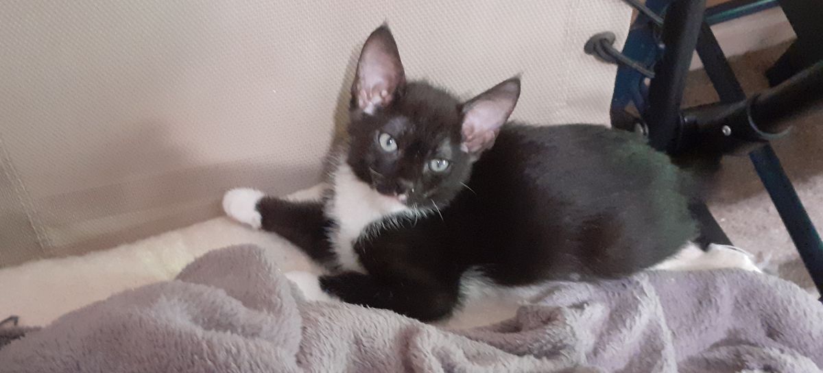 Gallery image: Tippy