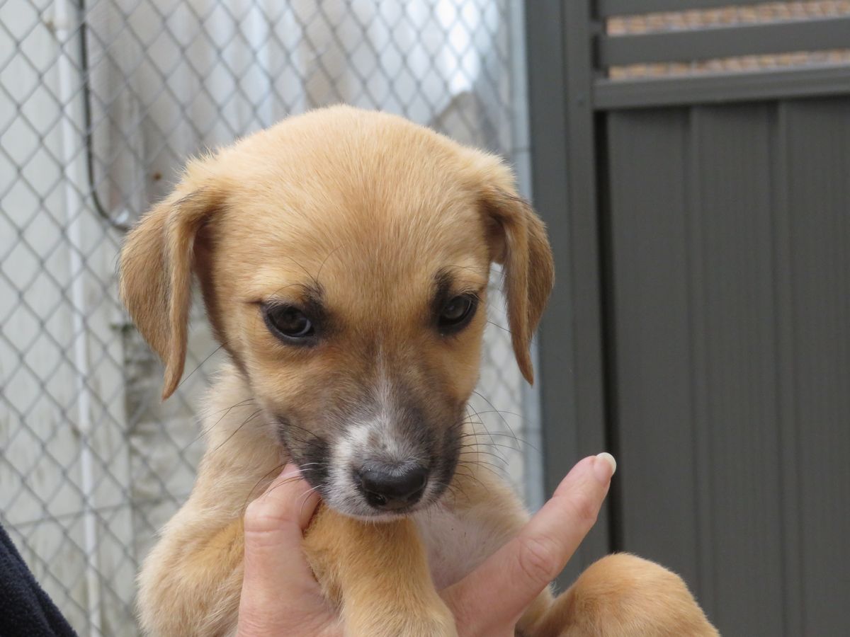 Gallery image: Marie