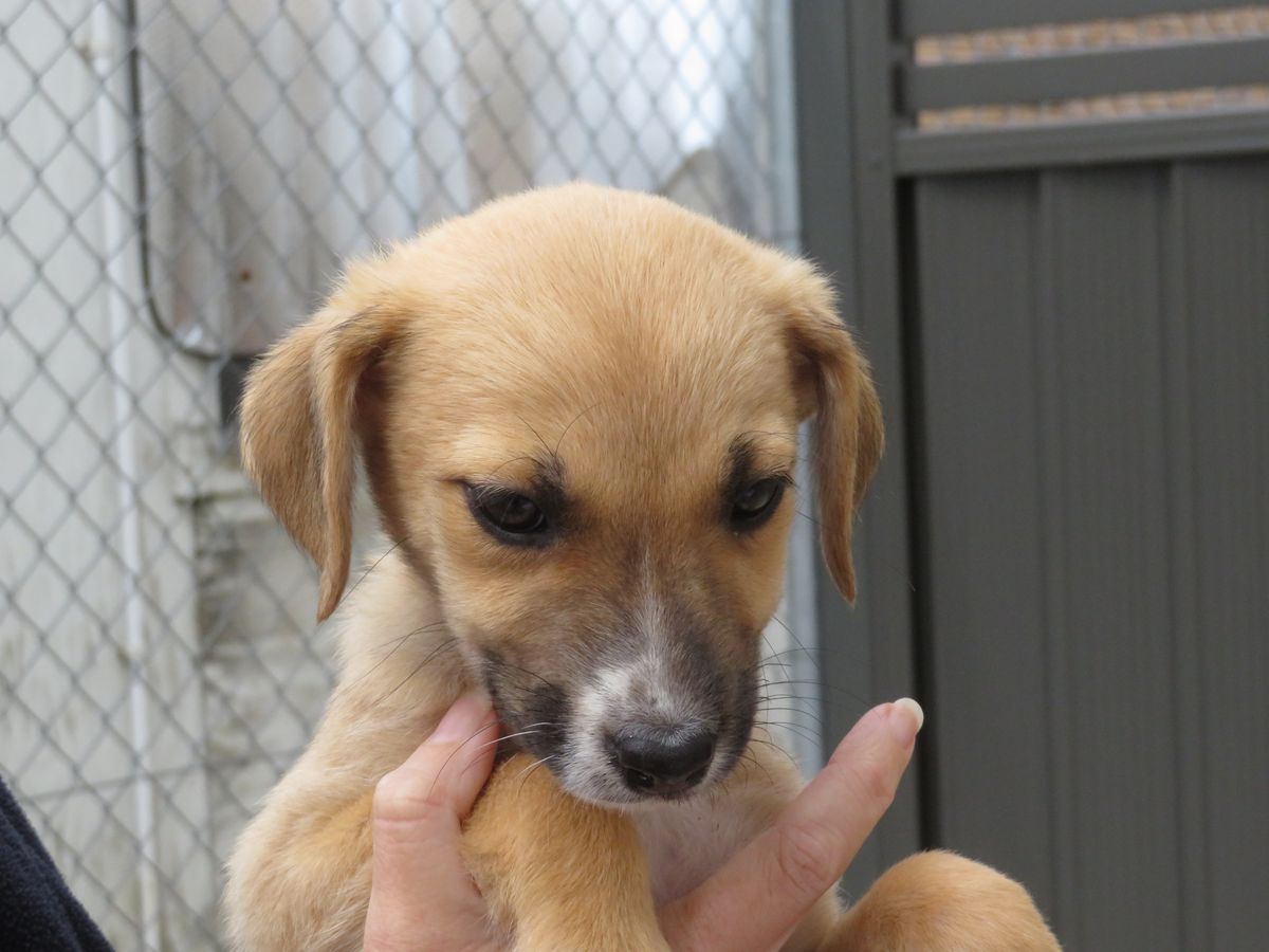 Gallery image: Marie