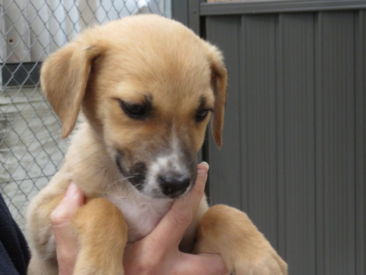 Gallery image: Marie