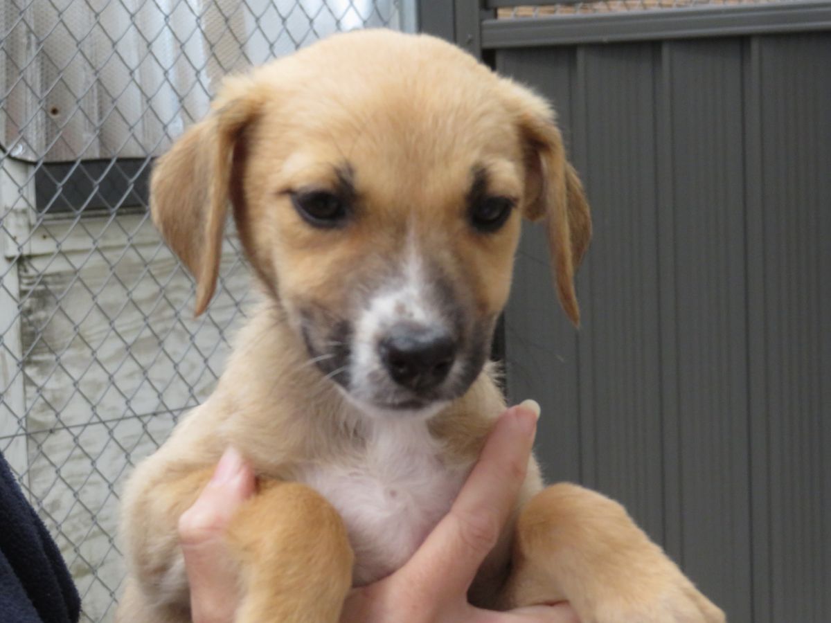 Gallery image: Marie