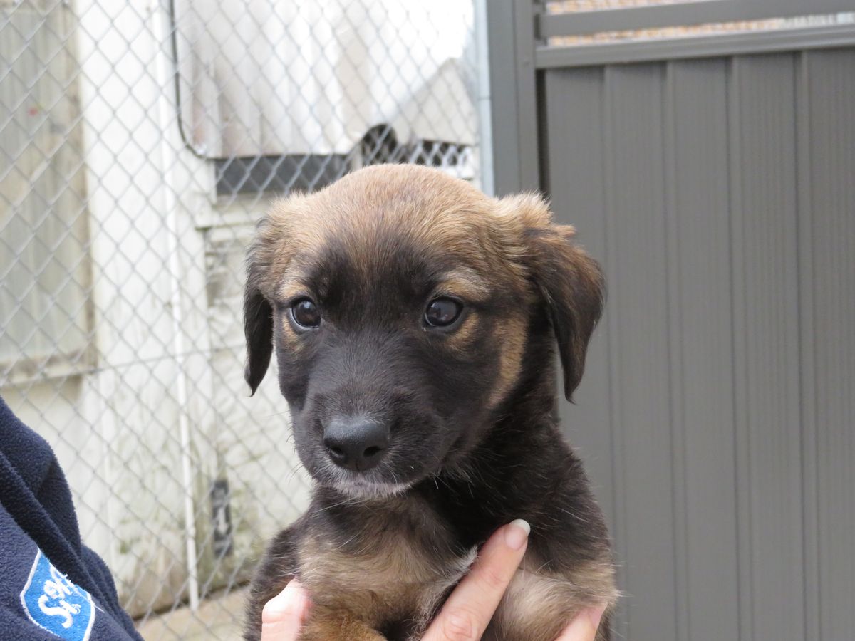 Gallery image: Toulouse