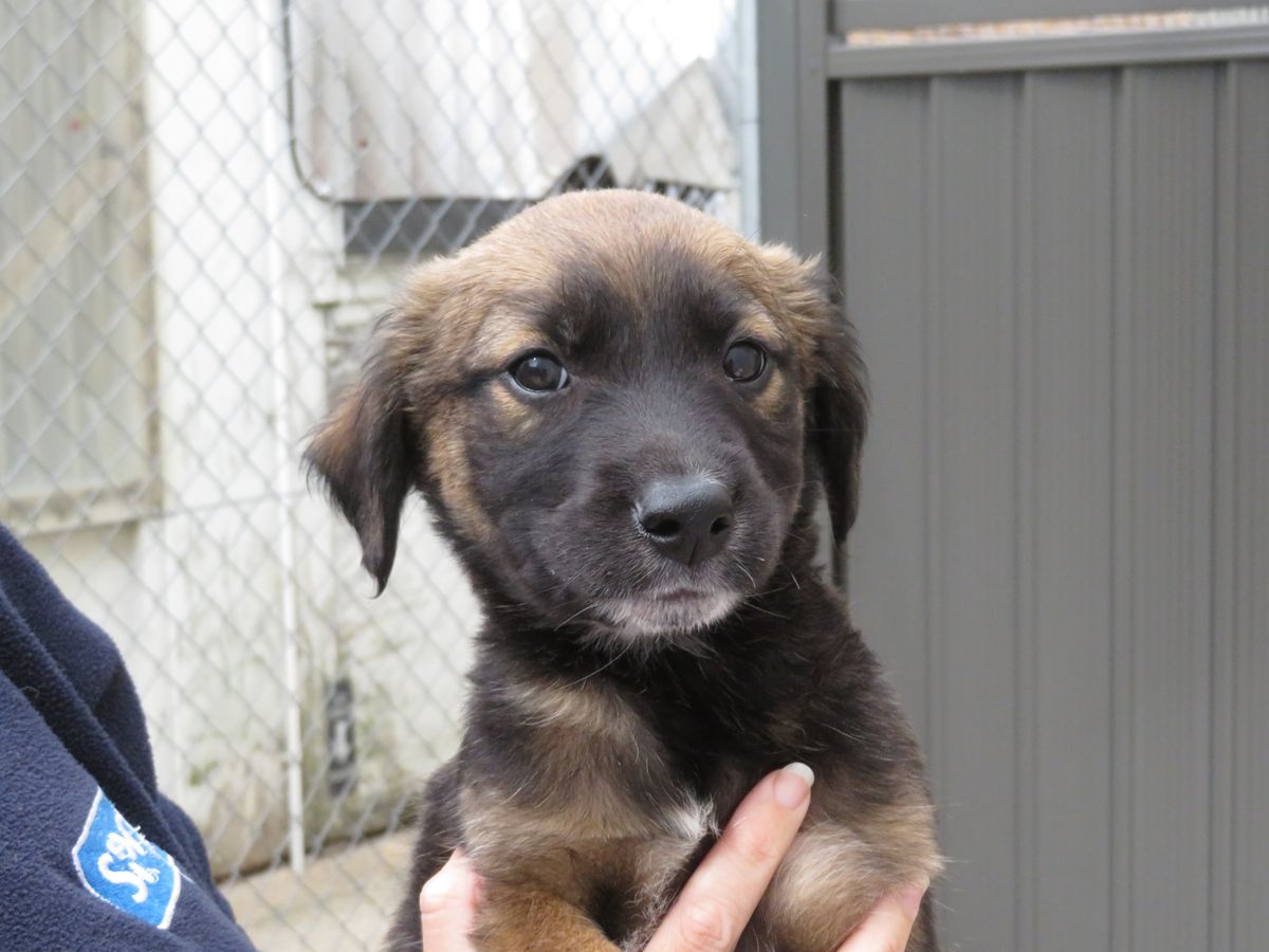 Gallery image: Toulouse