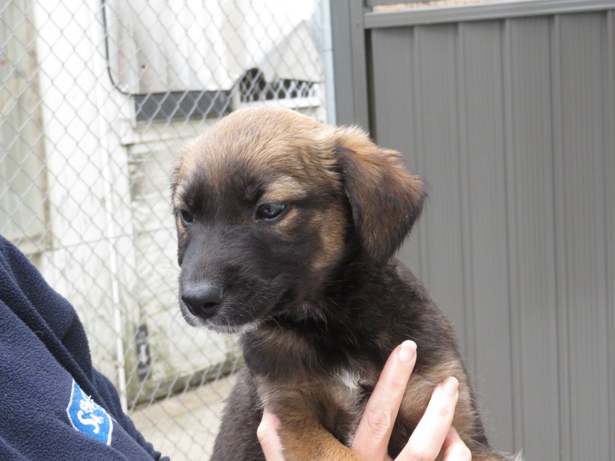 Gallery image: Toulouse