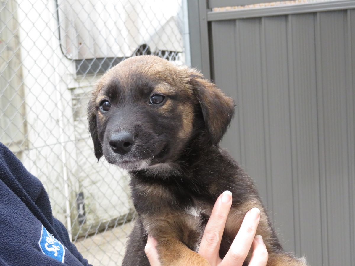 Gallery image: Toulouse