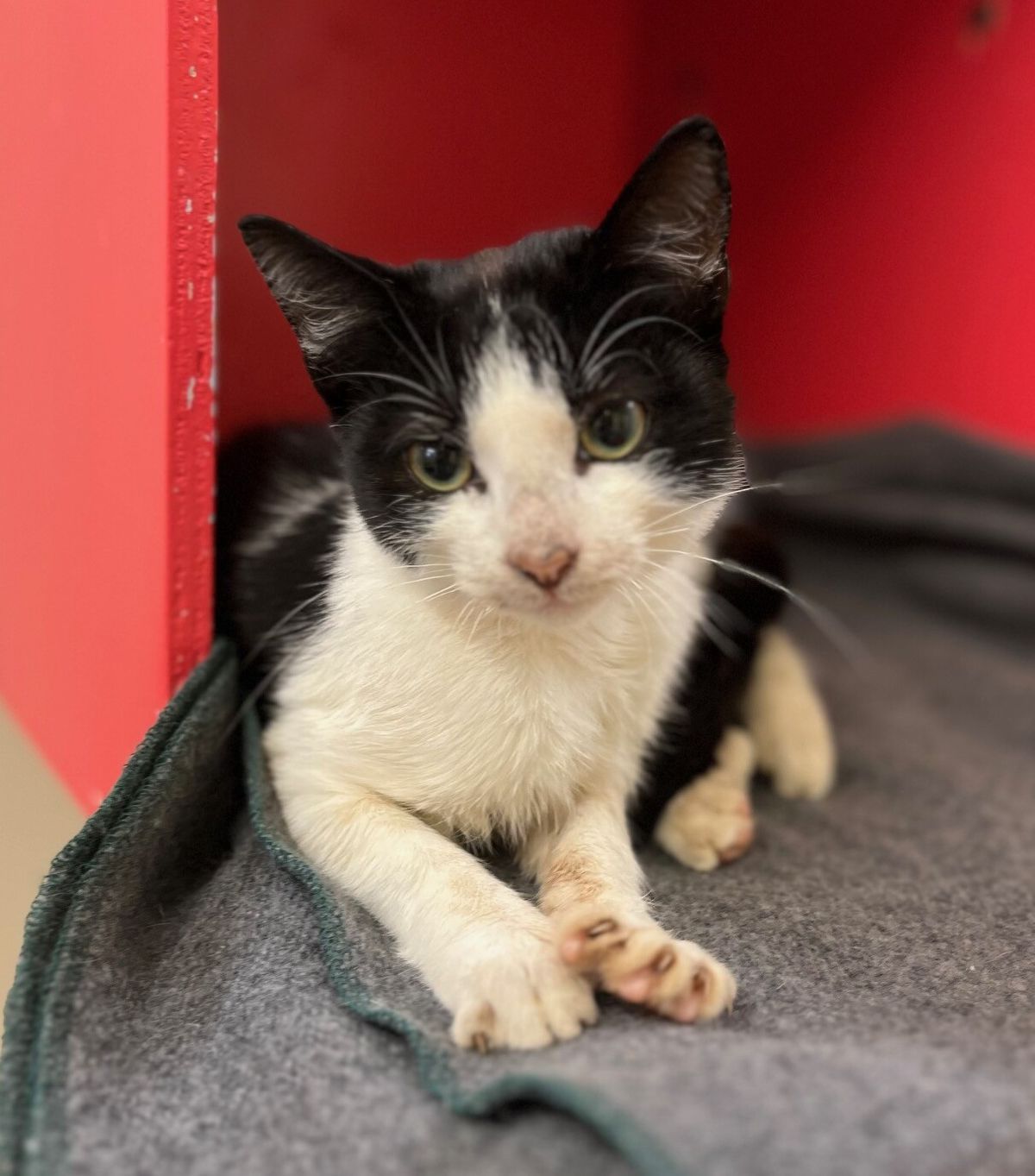 Gallery image: Jackson 