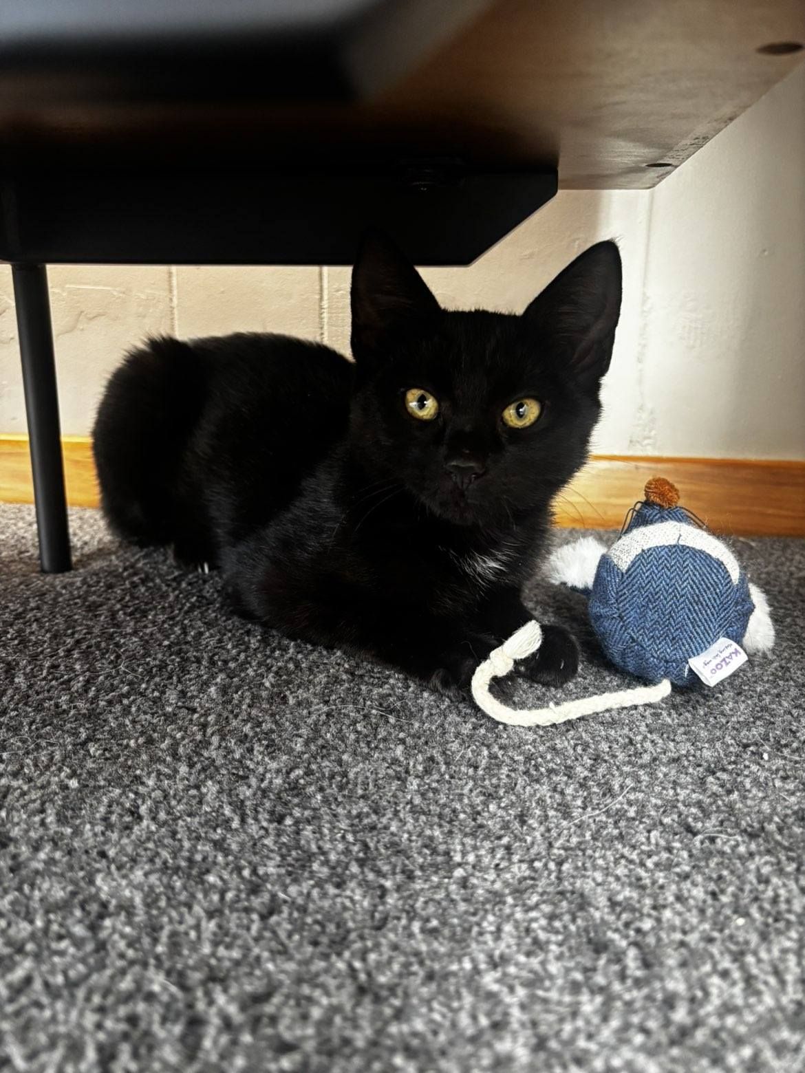 Gallery image: Betsy