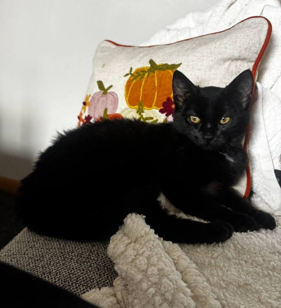 Gallery image: Betsy