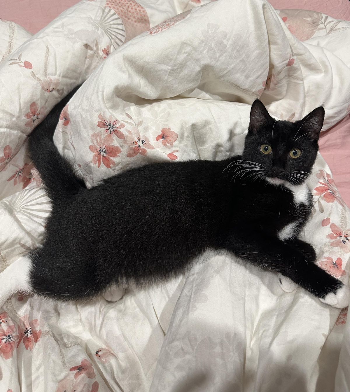 Gallery image: Brenna