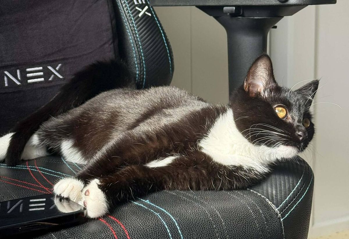 Gallery image: Brenna