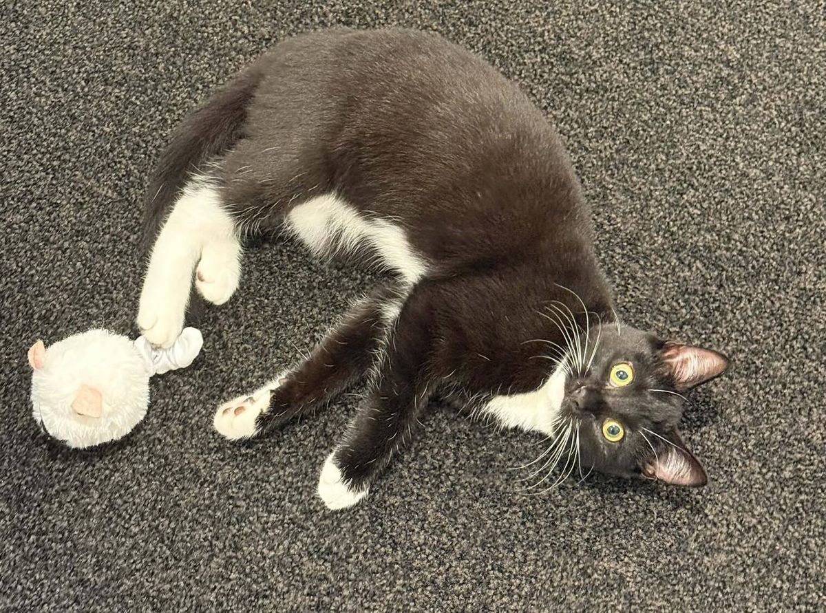 Gallery image: Brenna