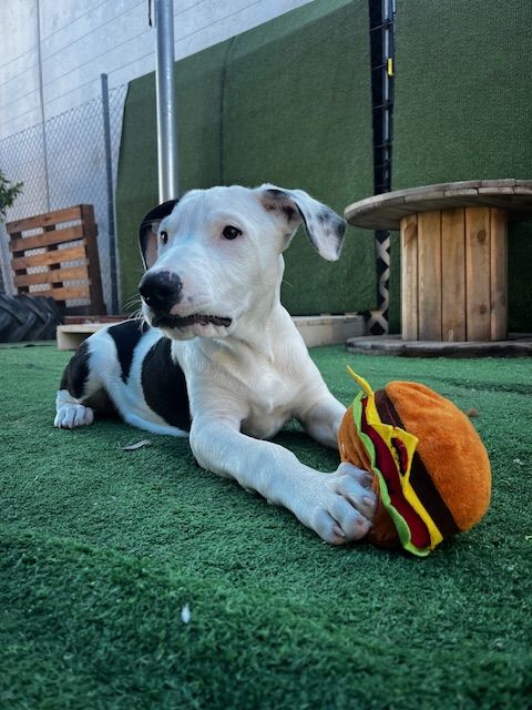 Gallery image: Cooper