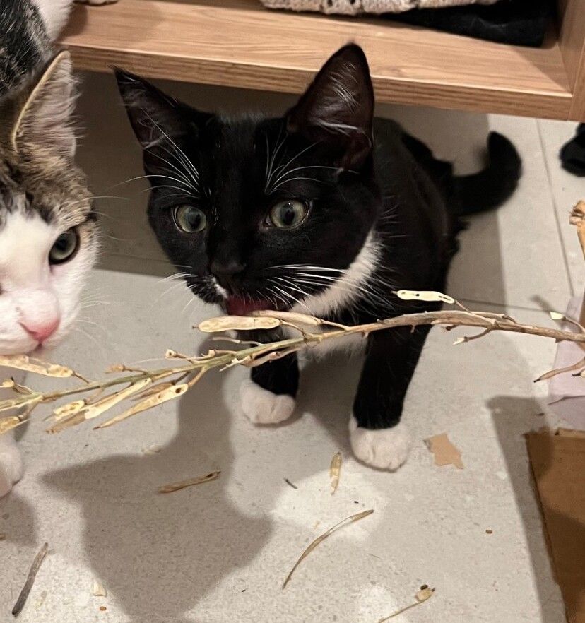 Gallery image: Thelma