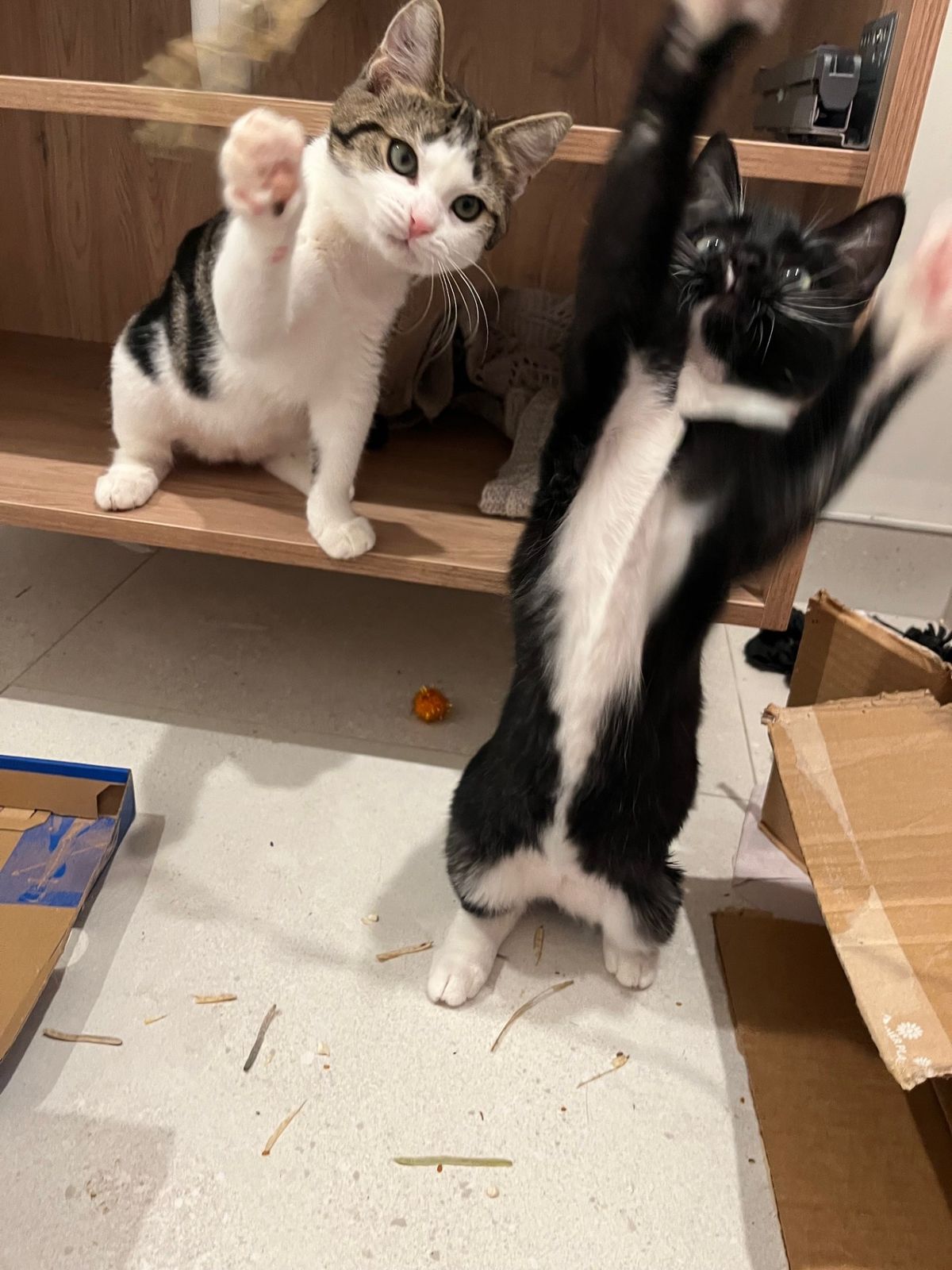 Gallery image: Thelma