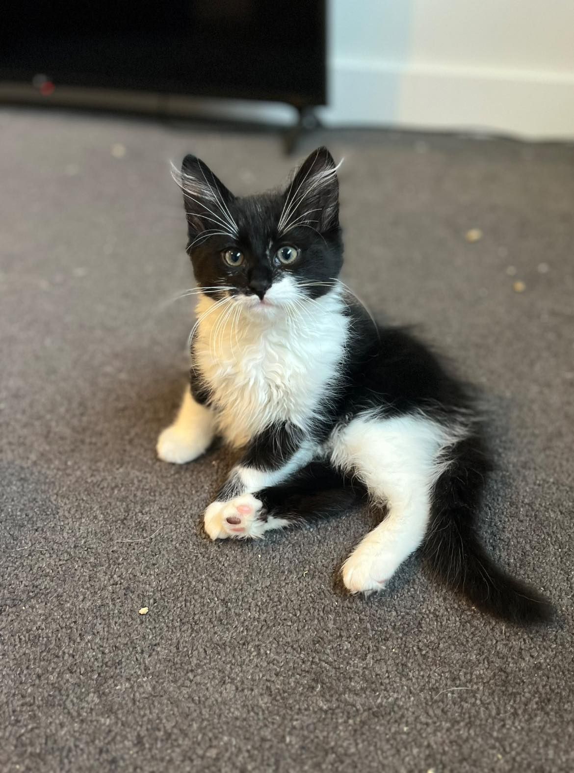 Gallery image: Lebron