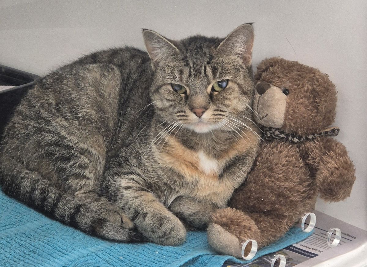 Gallery image: Victory