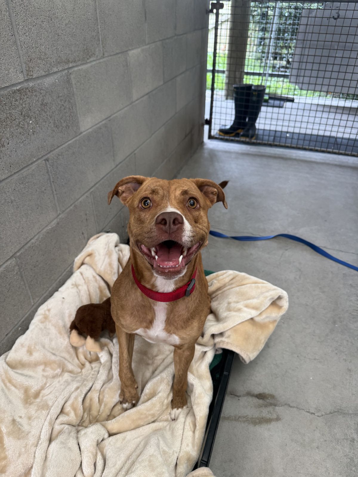 Gallery image: Annie