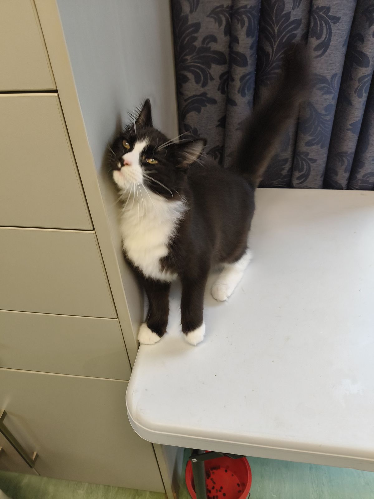 Gallery image: Popcorn