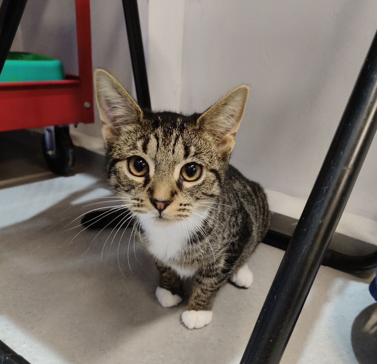 Gallery image: Camille