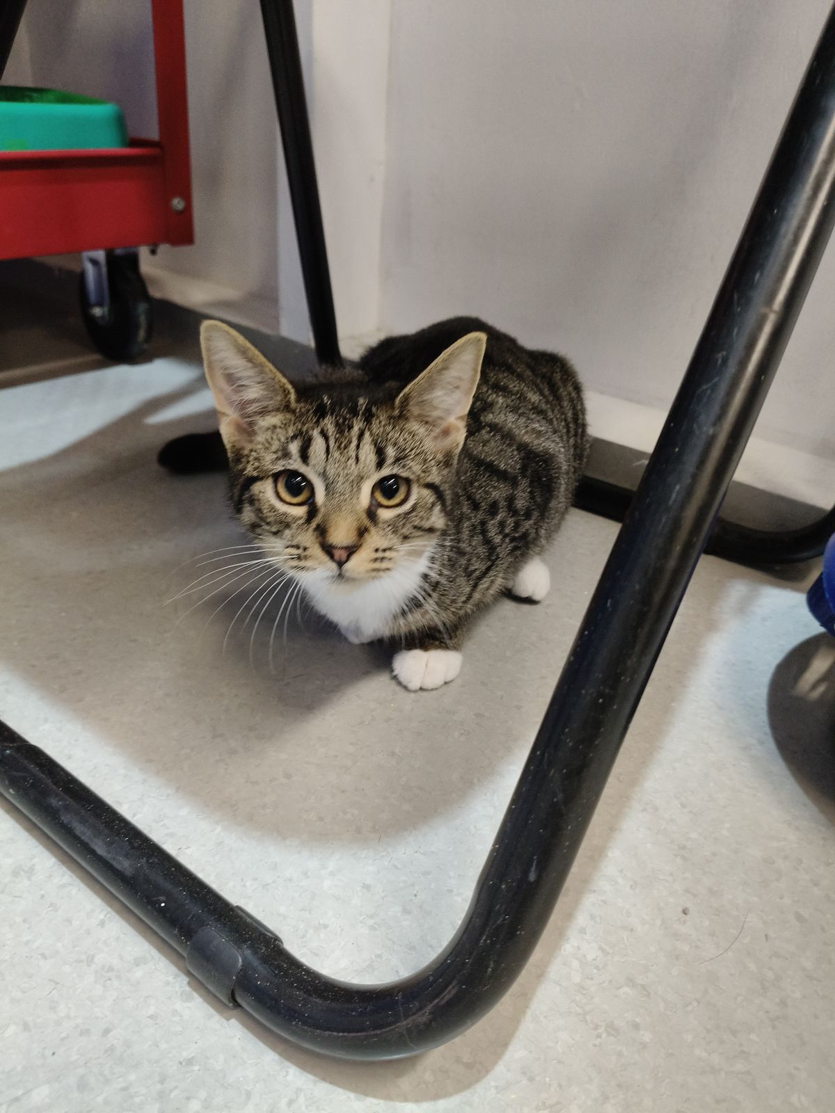 Gallery image: Camille