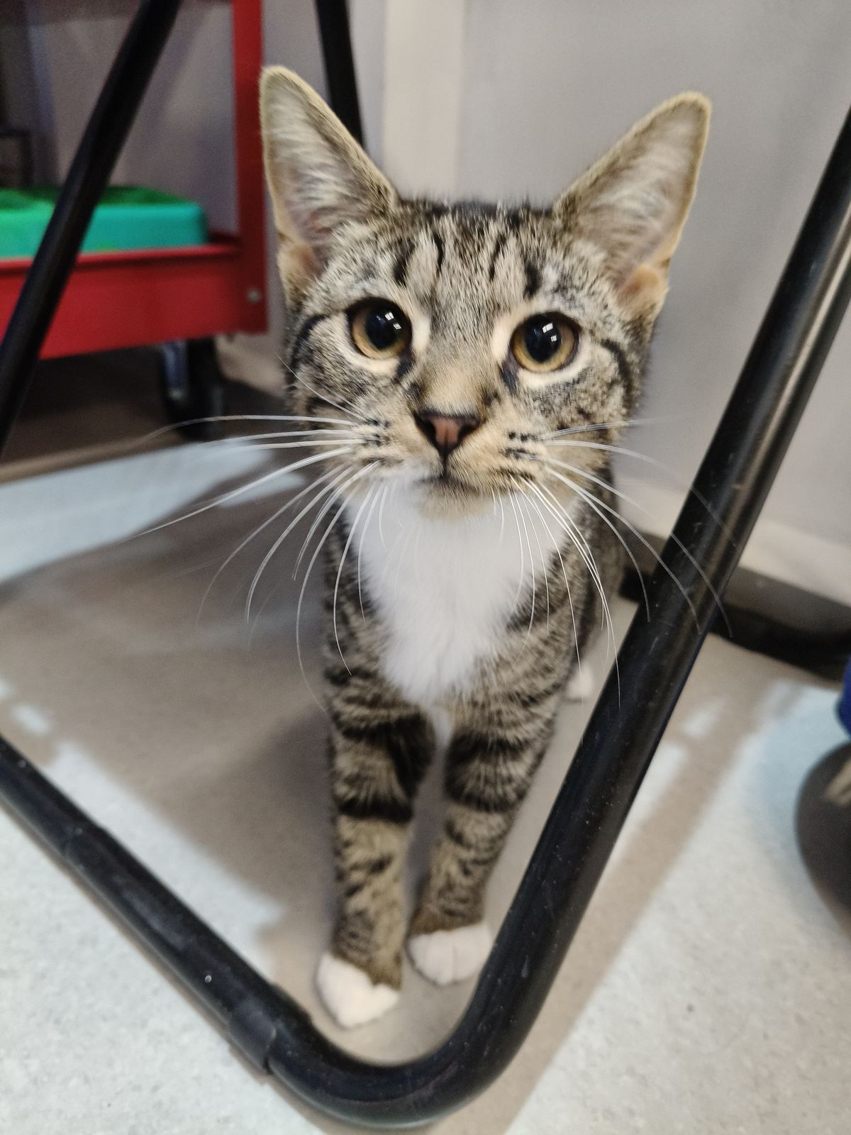 Gallery image: Camille