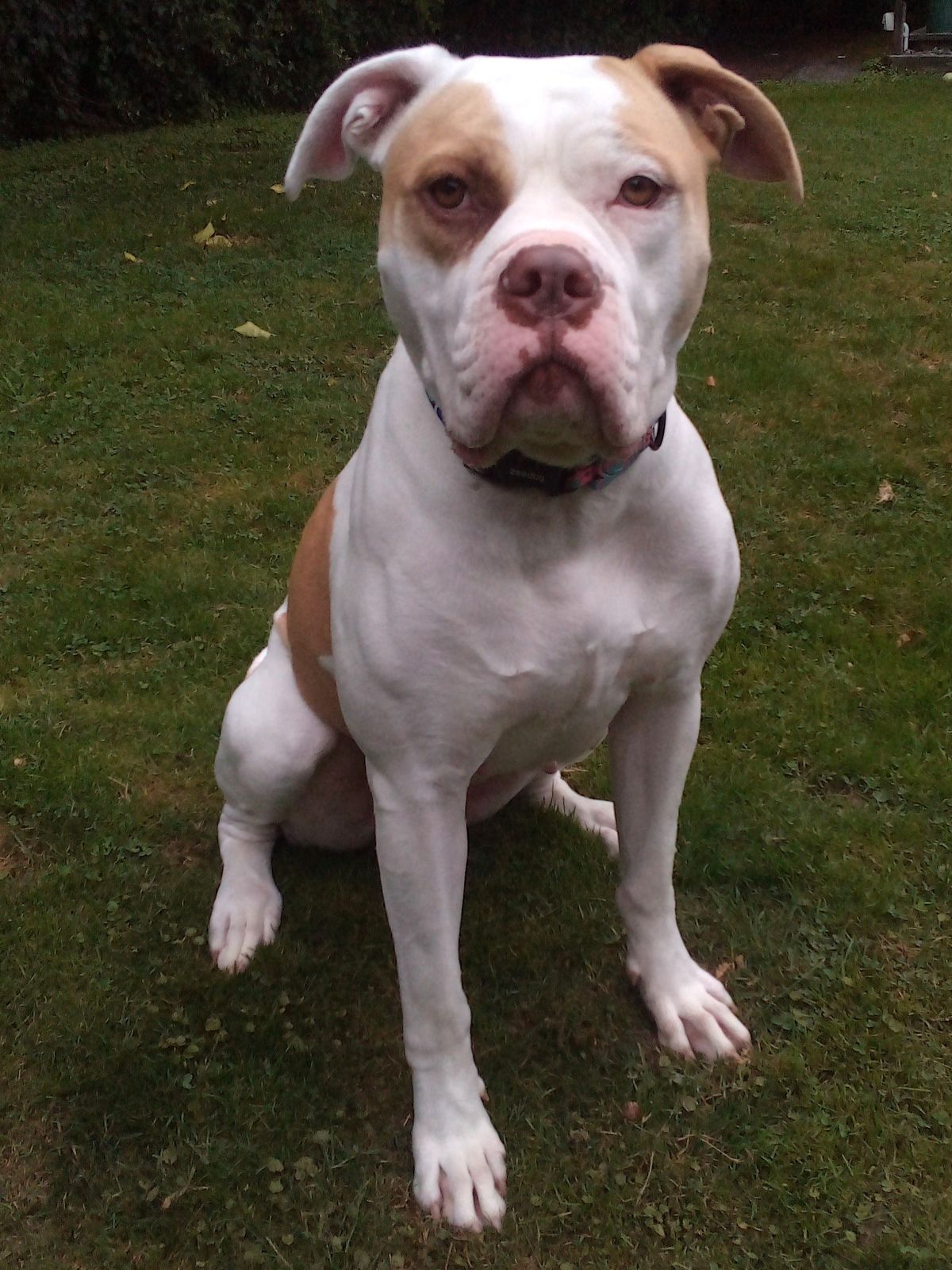 Gallery image: Maggie