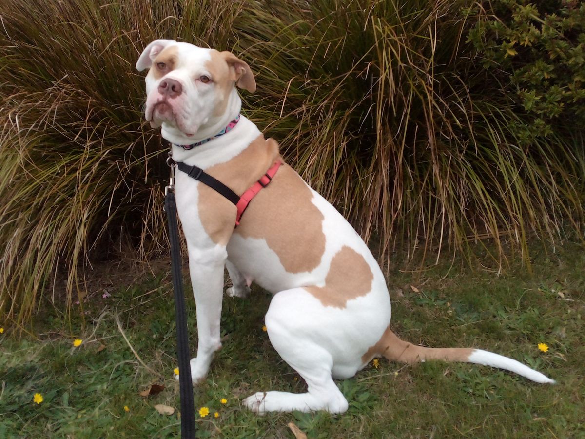 Gallery image: Maggie