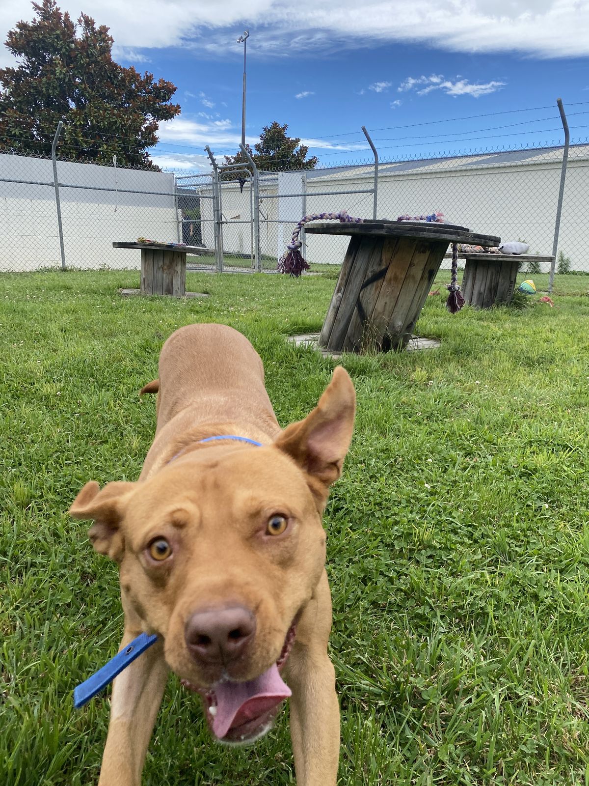 Gallery image: Gunner