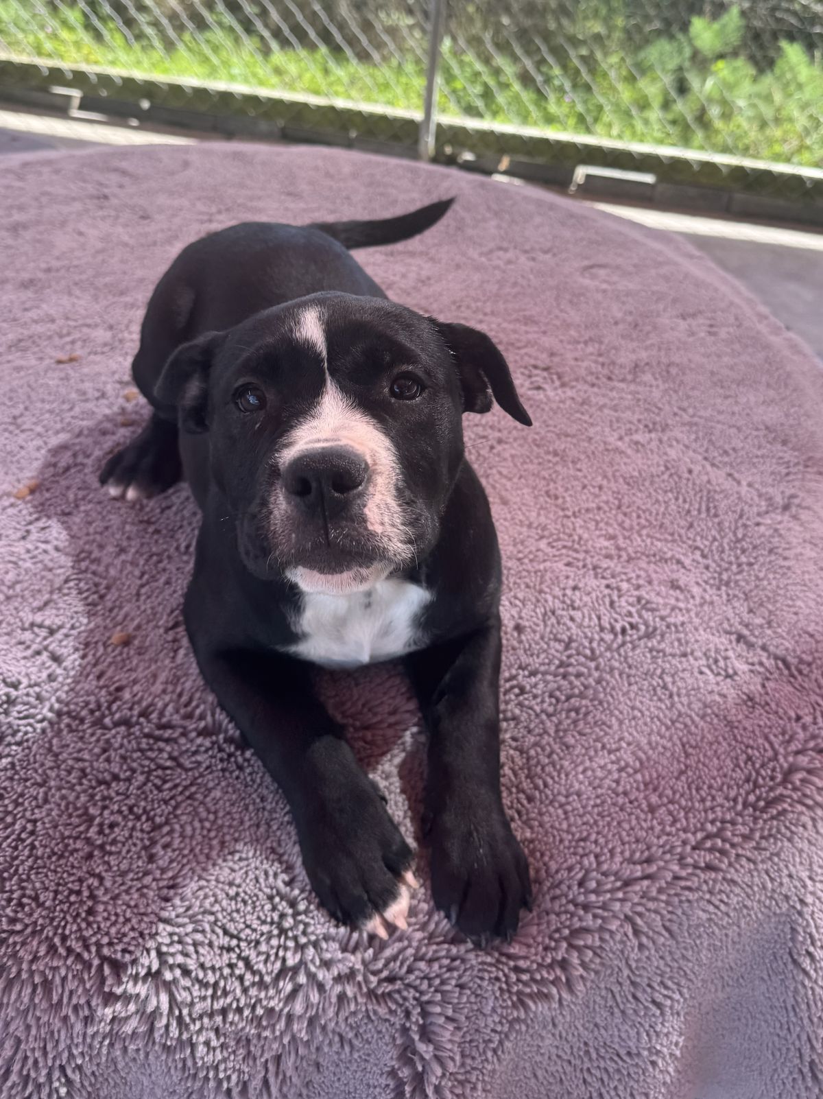 Gallery image: Molly