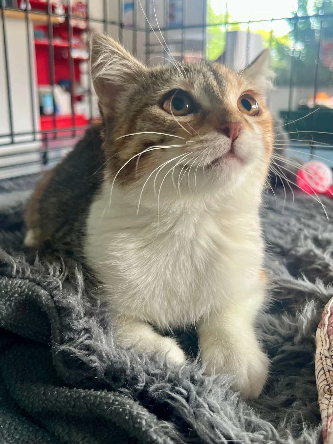 Gallery image: Squish