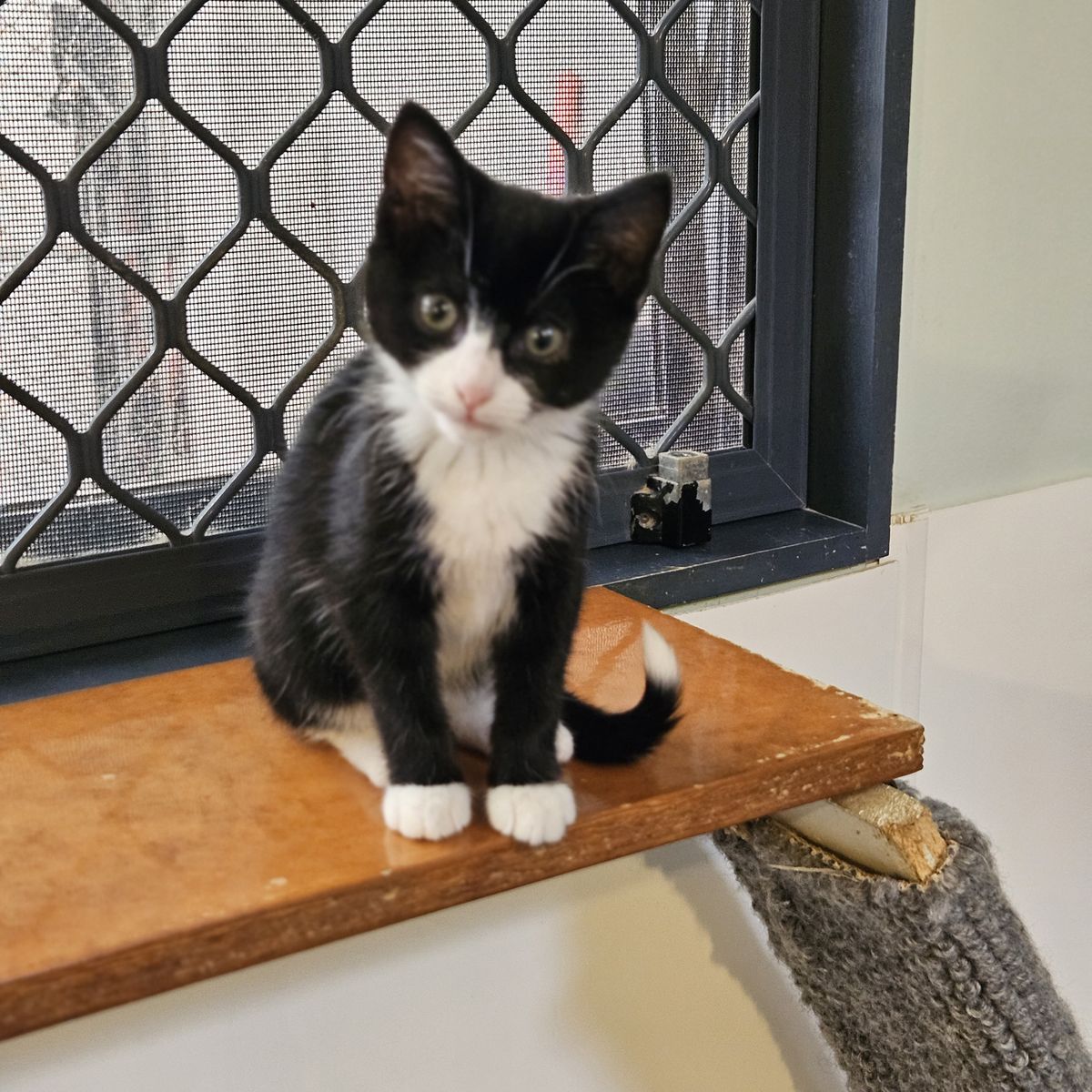 Gallery image: Florence