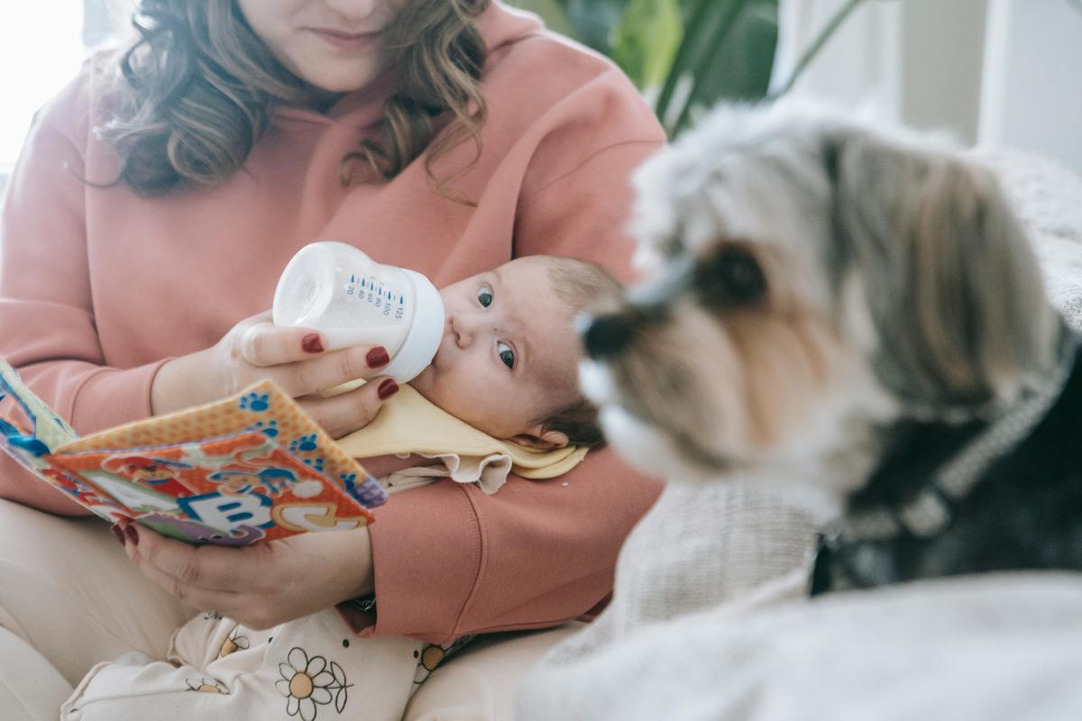 A calm dog alongside a baby being bottle fed