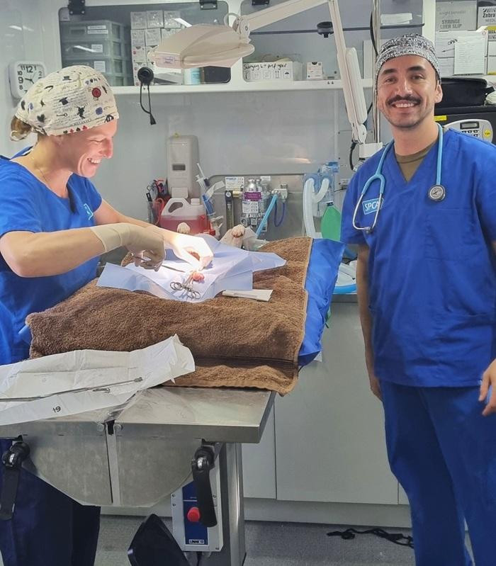 The SPCA vet team operating in the Mobile Desexing Clinic