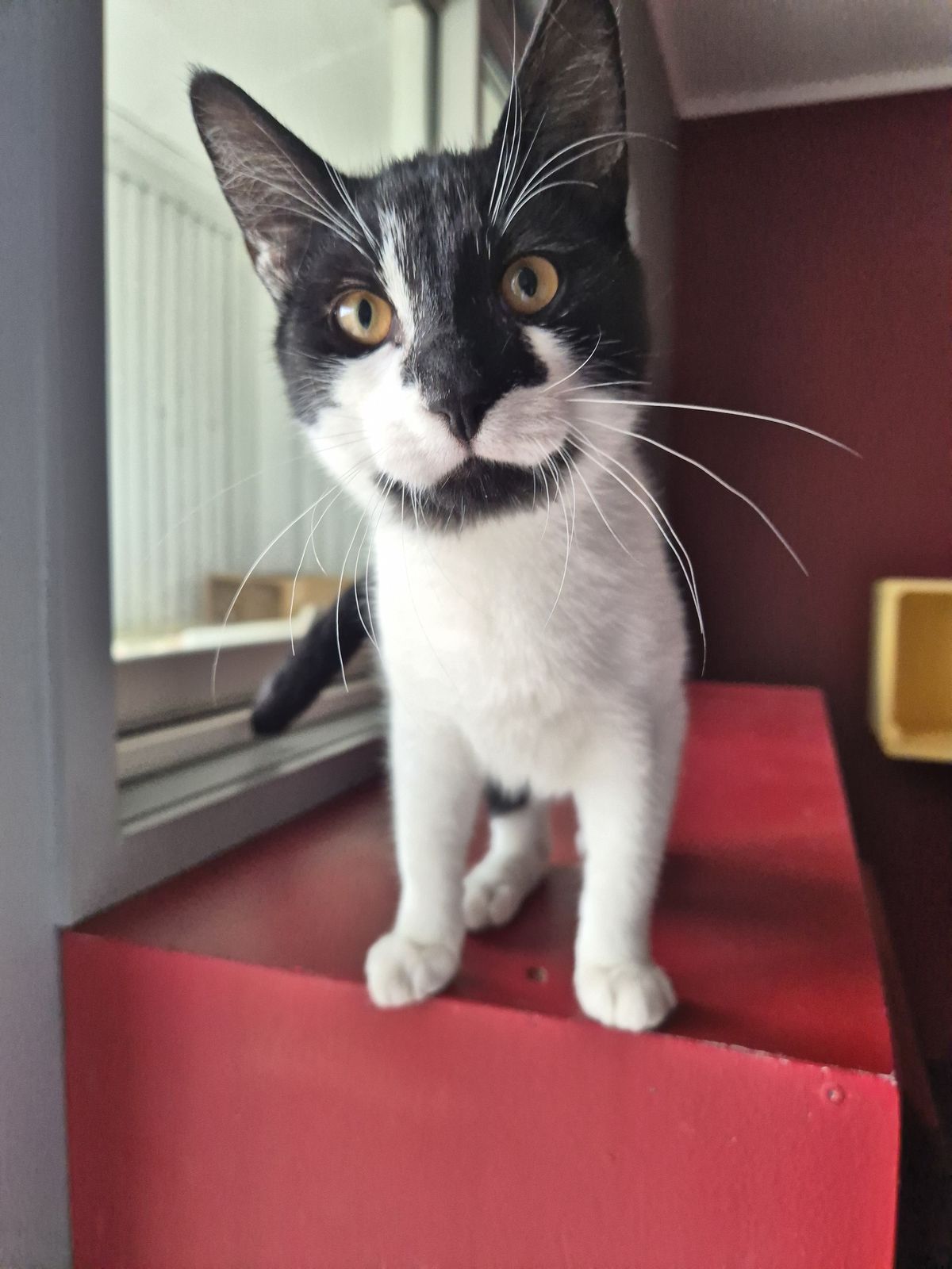 Gallery image: Asher