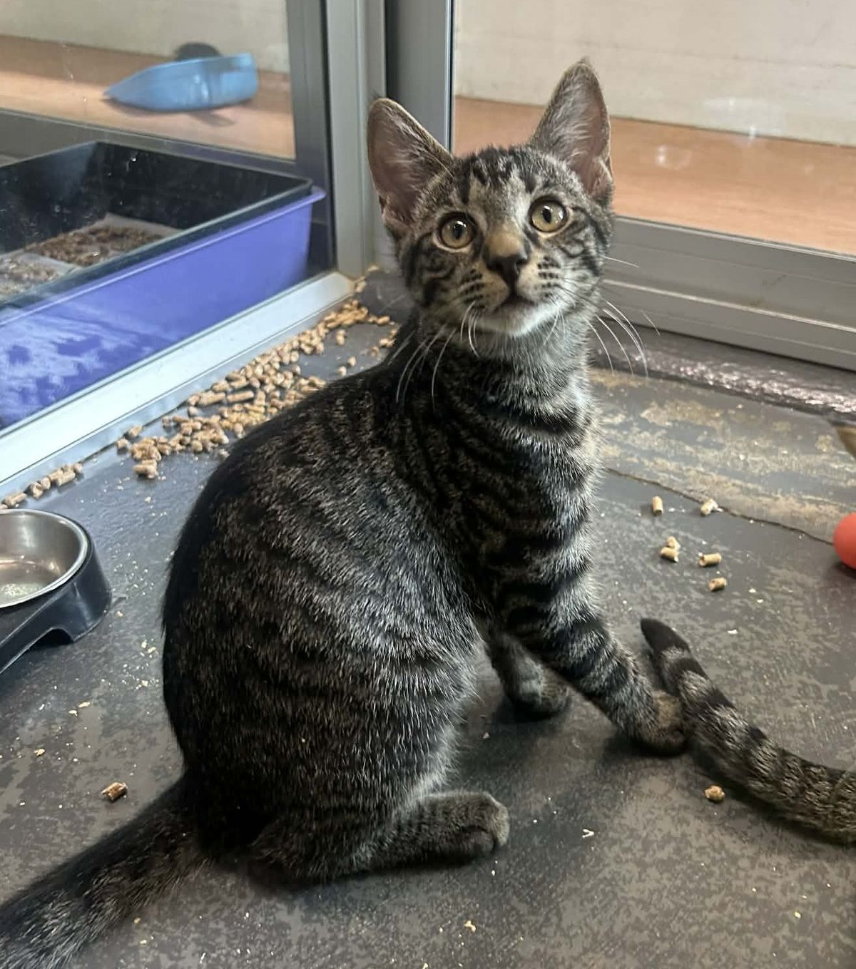 Gallery image: Monty