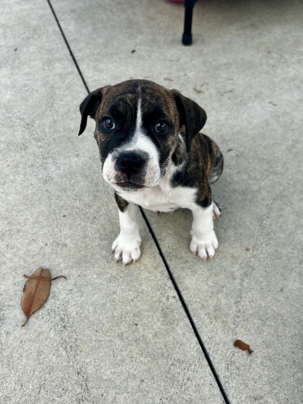 Gallery image: Whisky