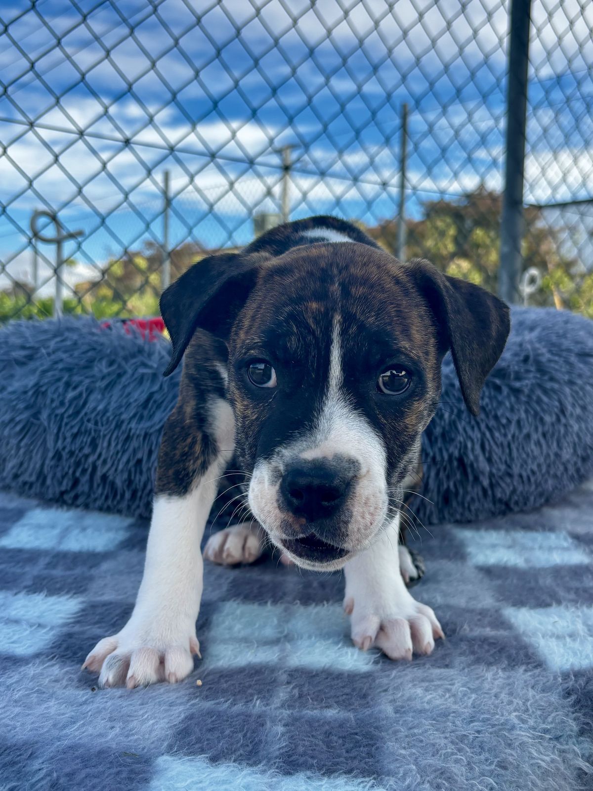 Gallery image: Whisky