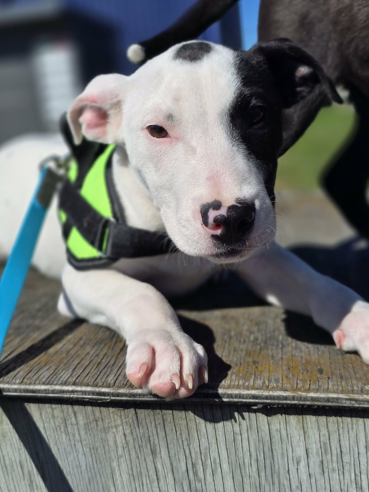 Gallery image: Kerry